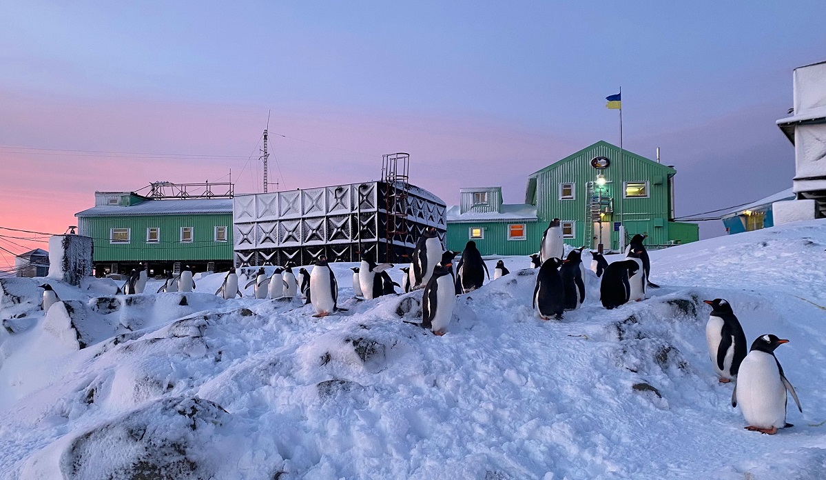 «Мільйони на пінгвінів»: полярники спростували проросійські закиди