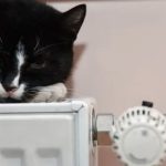 Україна зміцнює енергозахист і готує громади до зими / Фото: відкриті джерела